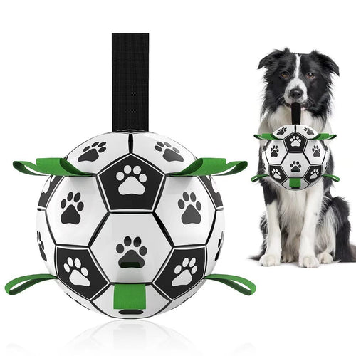 Interactive Dog Soccer Ball Inflated Training