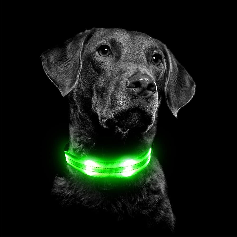 Led Dog Collar, Rechargeable Light up Collar, Waterproof Flashing Light Basic Dog Collars, Super Bright Night Safety (Green, Large)