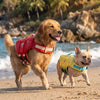 🐾 Petaura™ PawFloat™ Premium Dog Life Jacket 🌊 | Safe, Comfortable & Adventure Ready 🐶