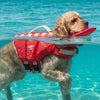 🐾 Petaura™ PawFloat™ Premium Dog Life Jacket 🌊 | Safe, Comfortable & Adventure Ready 🐶