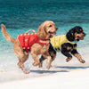 🐾 Petaura™ PawFloat™ Premium Dog Life Jacket 🌊 | Safe, Comfortable & Adventure Ready 🐶