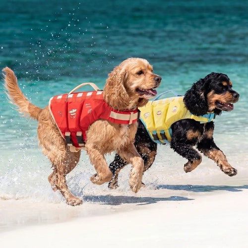 🐾 Petaura™ PawFloat™ Premium Dog Life Jacket 🌊 | Safe, Comfortable & Adventure Ready 🐶