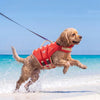 🐾 Petaura™ PawFloat™ Premium Dog Life Jacket 🌊 | Safe, Comfortable & Adventure Ready 🐶