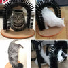 🐱 Self Grooming Cat Brush Arch