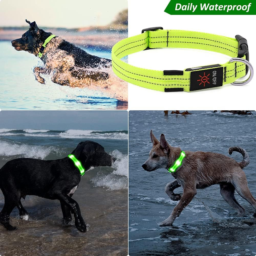 Led Dog Collar, Rechargeable Light up Collar, Waterproof Flashing Light Basic Dog Collars, Super Bright Night Safety (Green, Large)