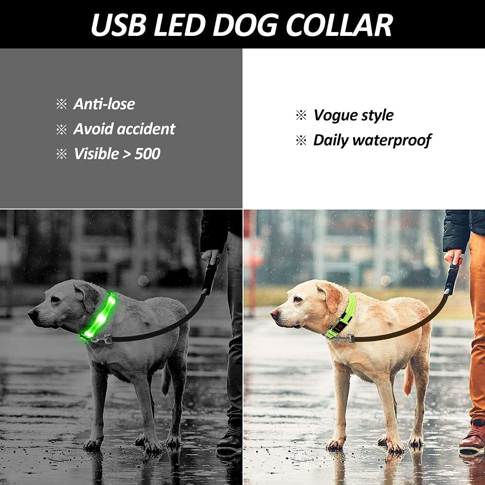 Led Dog Collar, Rechargeable Light up Collar, Waterproof Flashing Light Basic Dog Collars, Super Bright Night Safety (Green, Large)